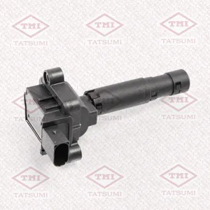 TATSUMI THG1054 Катушка зажигания