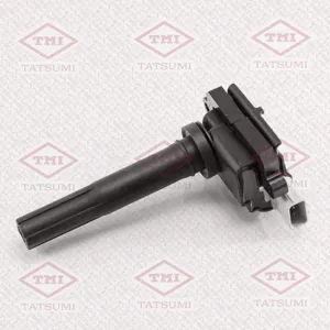 TATSUMI THG1076 Катушка зажигания