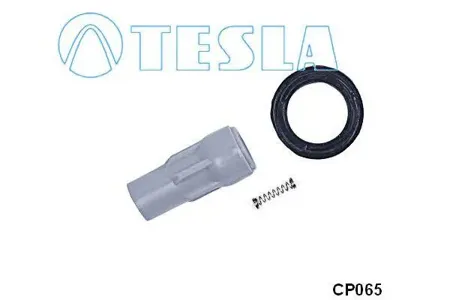 TESLA TECHNICS CP065 Наконечник свечи зажигания Chrysler 300c 2.7-3.5 04-12