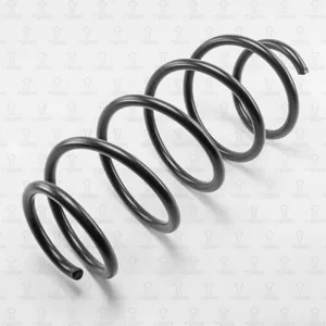 TORR DF0104 Пружина передняя