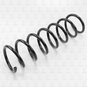 TORR DF0109 Пружина задняя