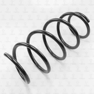 TORR DF0112 Пружина передняя