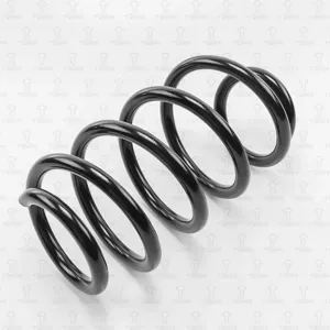 TORR DF0113 Пружина задняя