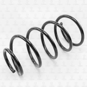 TORR DF0124 Пружина передняя