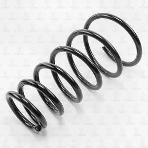 TORR DF0125 Пружина задняя