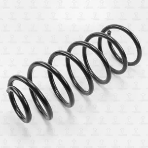 TORR DF0128 Пружина передняя