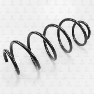 TORR DF0129 Пружина подвески передняя