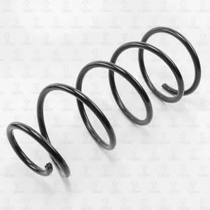 TORR DF0130 Пружина передняя