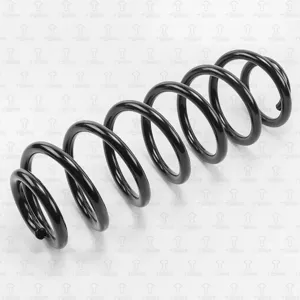 TORR DF0131 Пружина  подвески  VW Passat 305- задняя