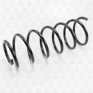 TORR DF0132 Пружина передняя