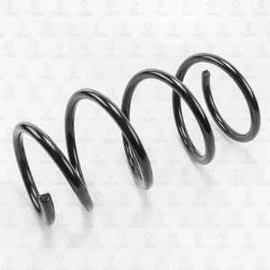 TORR DF0136 Пружина подвески передняя