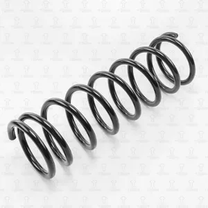 TORR DF0143 Пружина задняя Ford Focus 98->