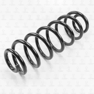 TORR DF0152 Пружина задняя