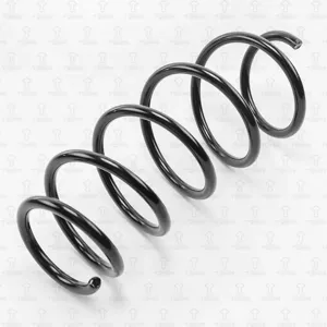 TORR DF0154 Пружина передняя