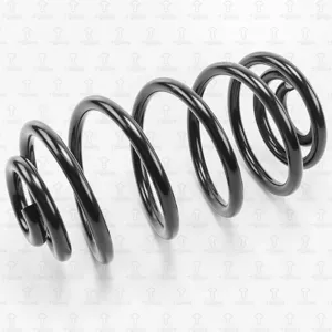 TORR DF0165 Пружина задняя