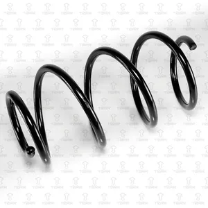 TORR DF0166 Пружина передняя