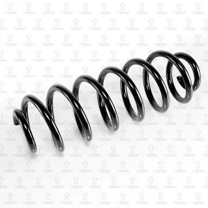 TORR DF0173 Пружина задняя