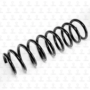 TORR DF0175 Пружина задняя