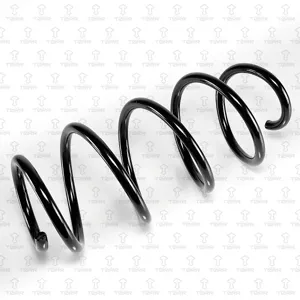 TORR DF0176 Пружина передняя