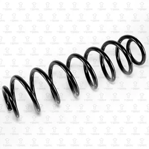 TORR DF0178 Пружина задняя