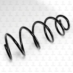 TORR DF0179 Пружина передняя