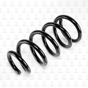 TORR DF0181 Пружина задняя