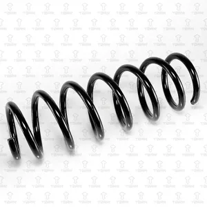 TORR DF0182 Пружина задняя