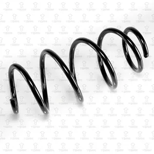 TORR DF0184 Пружина передняя