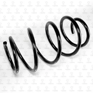 TORR DF0185 Пружина передняя