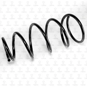 TORR DF0186 Пружина передняя