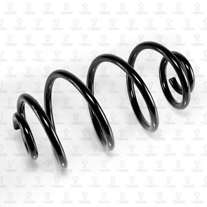 TORR DF0189 Пружина задняя