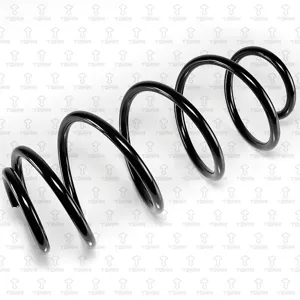 TORR DF0190 Пружина передняя