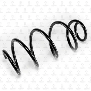 TORR DF0191 Пружина передняя