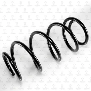 TORR DF0193 Пружина передняя