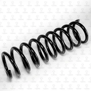 TORR DF0195 Пружина задняя