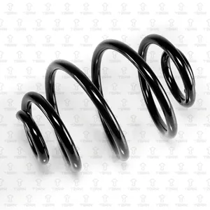 TORR DF0196 Пружина задняя