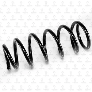 TORR DF0202 Пружина задняя