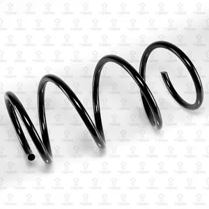 TORR DF0203 Пружина передняя