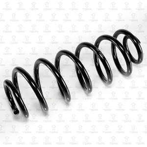 TORR DF0204 Пружина задняя