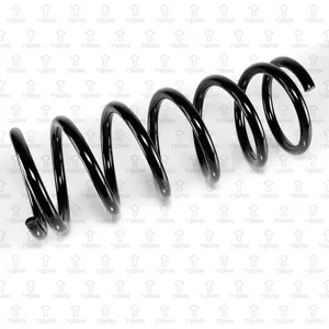 TORR DF0206 Пружина задняя