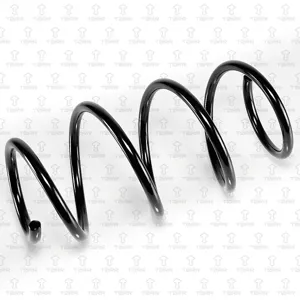 TORR DF0207 Пружина передняя