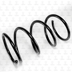 TORR DF0208 Пружина передняя