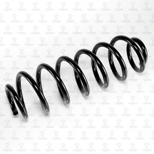 TORR DF0211 Пружина задняя