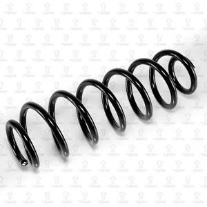 TORR DF0215 Пружина задняя