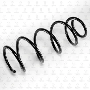 TORR DF0222 Пружина передняя