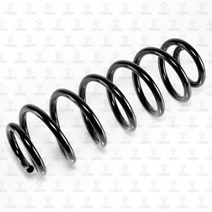 TORR DF0226 Пружина задняя