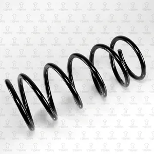 TORR DF0227 Пружина передняя