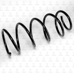 TORR DF0231 Пружина передняя