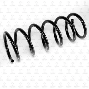 TORR DF0232 Пружина задняя