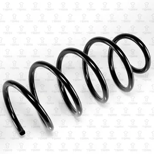 TORR DF0234 Пружина передняя